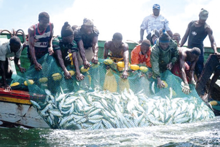 Arrivée des pêcheurs de M’bour