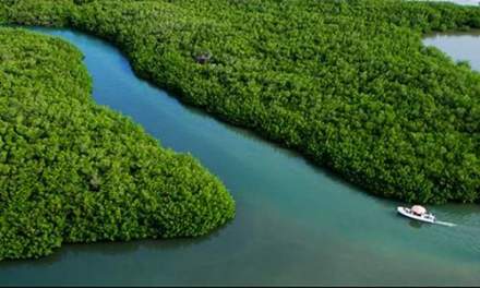 Les meilleures excursions au Sénégal